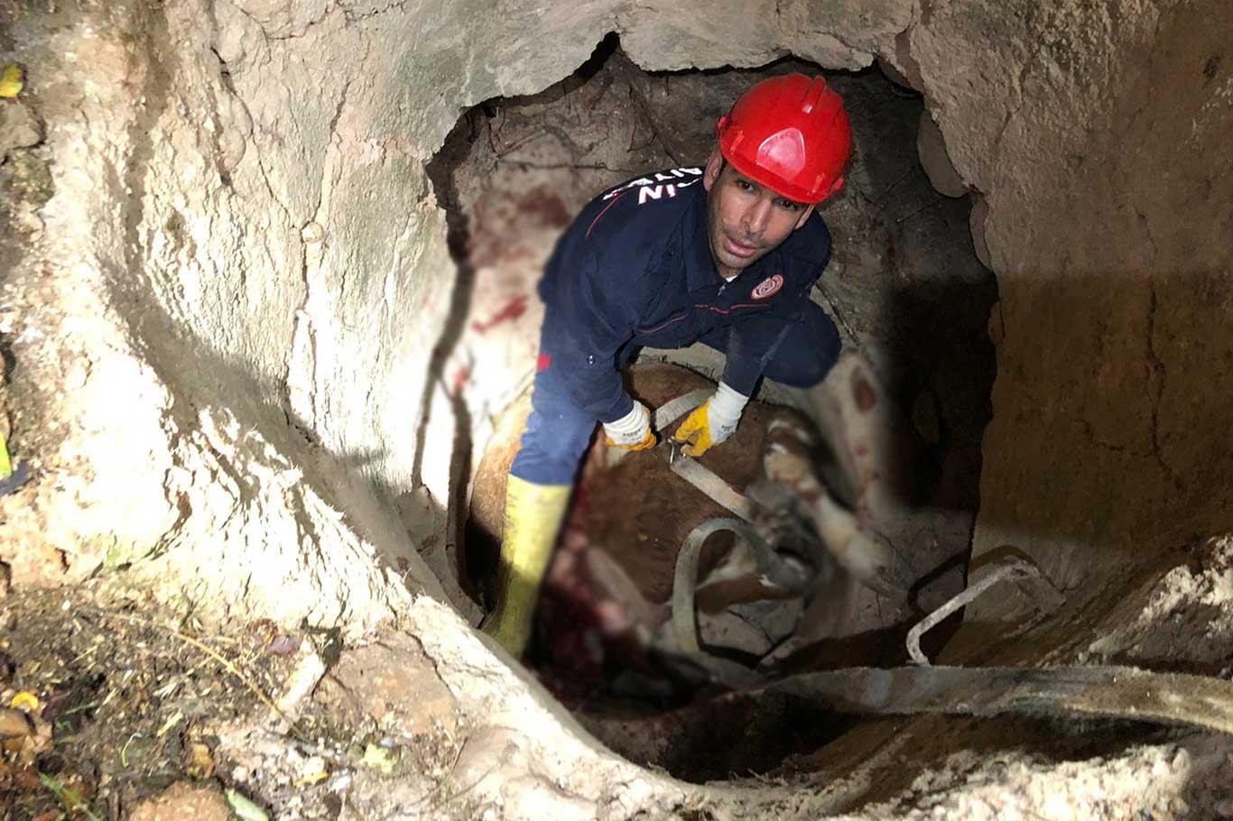 Su kuyusuna düşen inek kurtarıldı