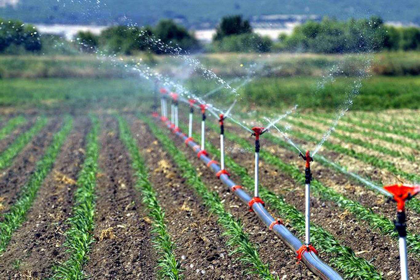 Tarımsal sulama projelerine 8,5 milyar lira kaynak ayrıldı