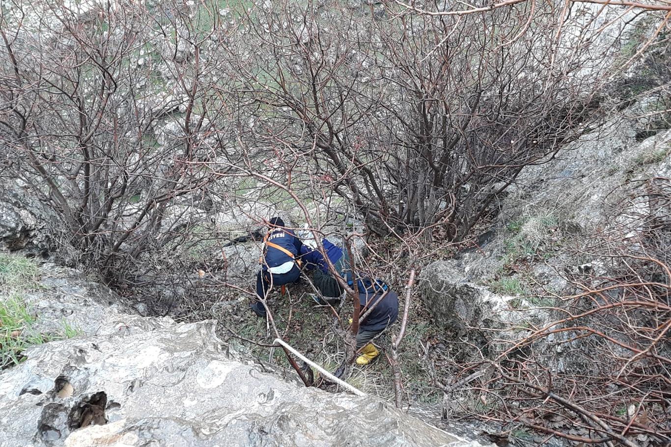Uçurumda mahsur kalan keçiler kurtarıldı