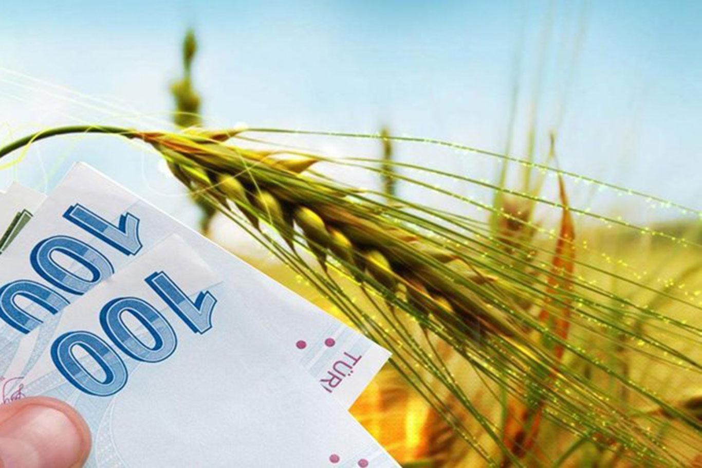 Yetiştiricilere 85 milyon liralık destek ödenecek
