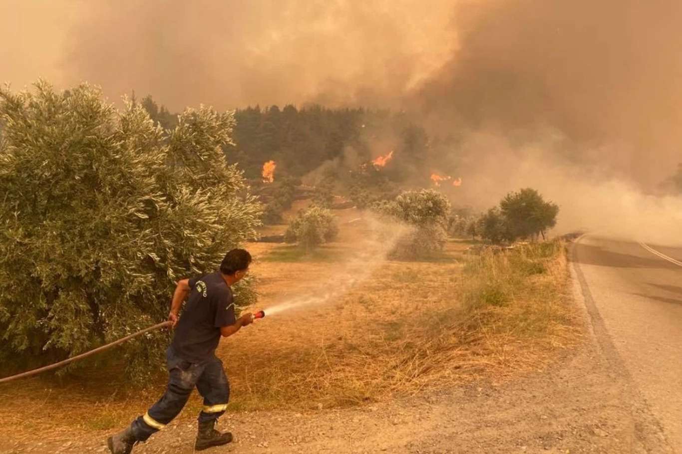 Yunanistan'da orman yangınları devam ediyor